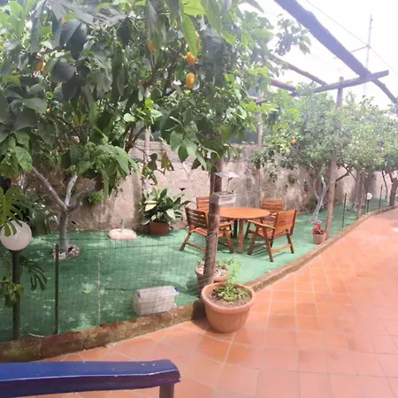 Apartment Grazia's *